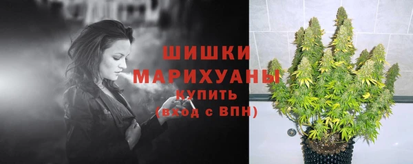 соль ск Надым