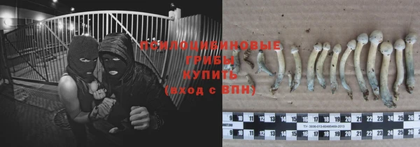 соль ск Надым