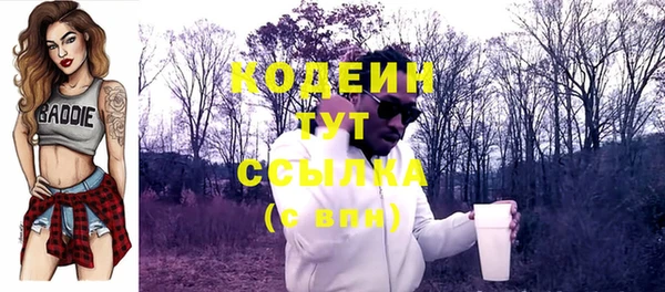 соль ск Надым