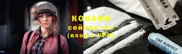 соль ск Надым