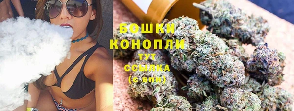 трава Наволоки