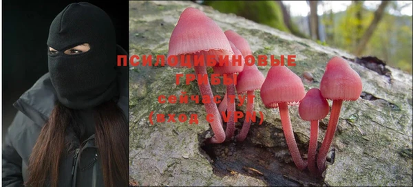 трава Наволоки